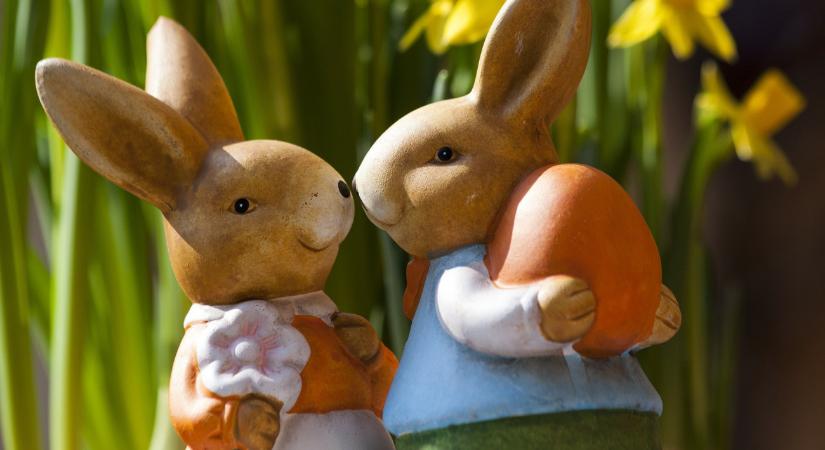 Két kerületben utalványt hoz a nyugdíjasoknak a nyúl húsvétra