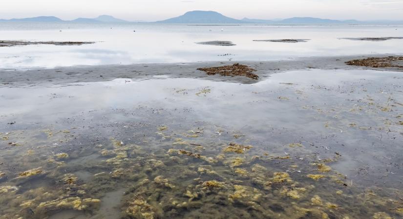 Lefotózták az űrből, hogy hol zavaros, azaz koszos a Balaton