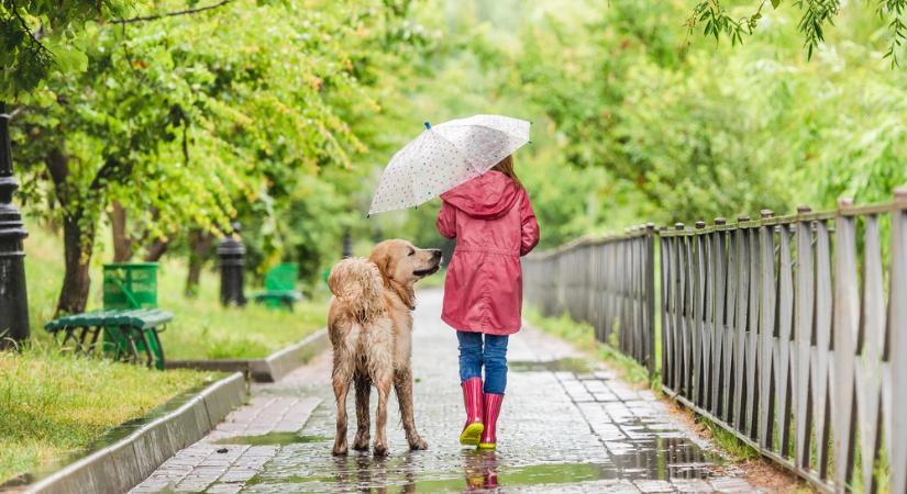 Záporok, zivatarok jönnek