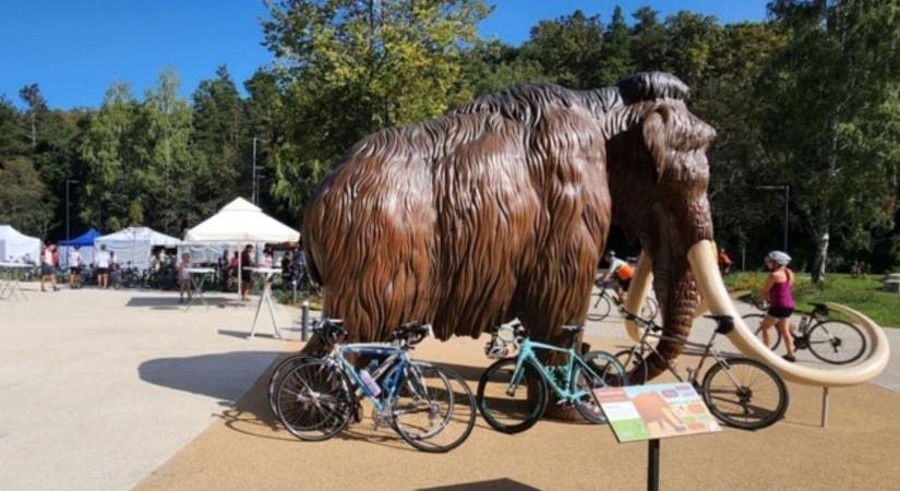 Ő lesz a jubileumi Bükk Kupa fővédnöke