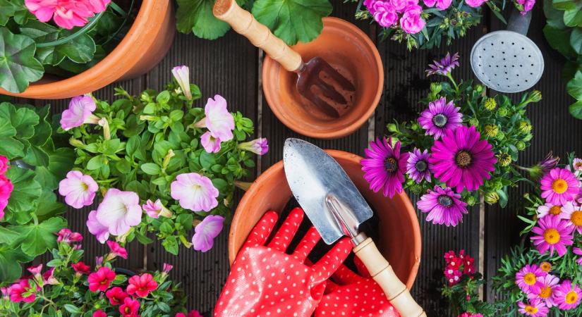 Tavaszi szünet: 10 kertészeti feladat, amit most érdemes elvégezni