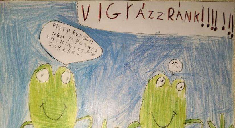 Versenyt futnak a halállal: drasztikusan megfogyatkozott a szolnoki békák száma, a diákok is mentik őket