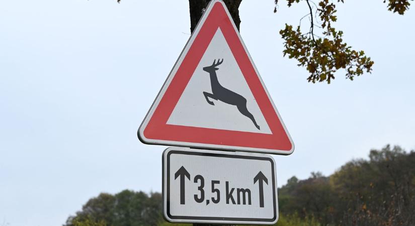 Egy kattintás elég lehet, hogy megelőzz egy vadbalesetet