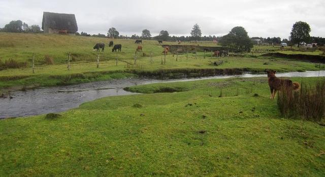 Vita robbant ki a Monte Verde koráról: újra kérdéses Amerika benépesülése