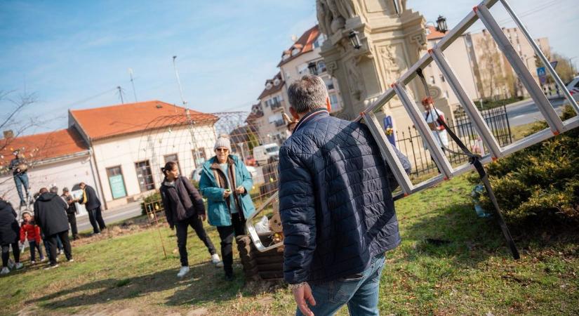 Horváth István létrára mászott, mutatjuk, hogy miért