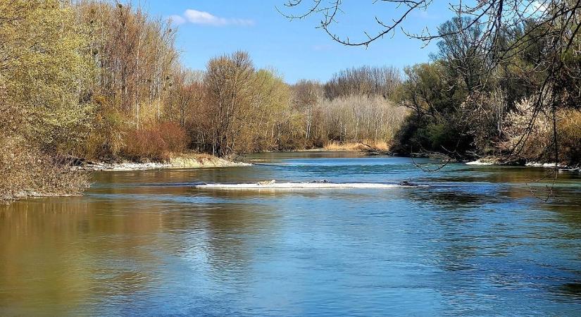 Új kis sziget képződik a Duna-ágnak közepén - fotó