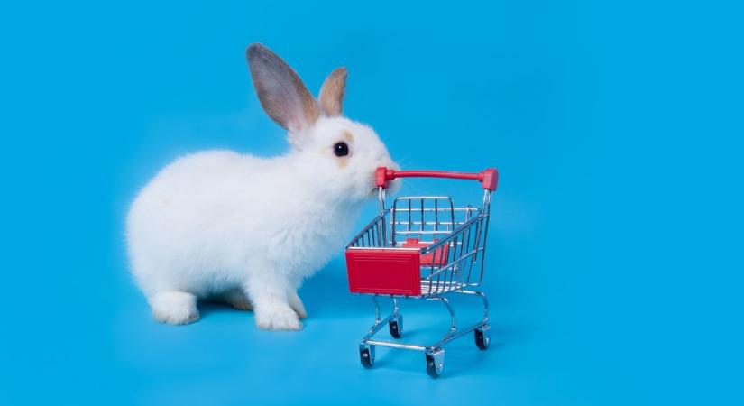 Megint elmarad a húsvéti vásár? Egyre türelmetlenebbek a pécsiek