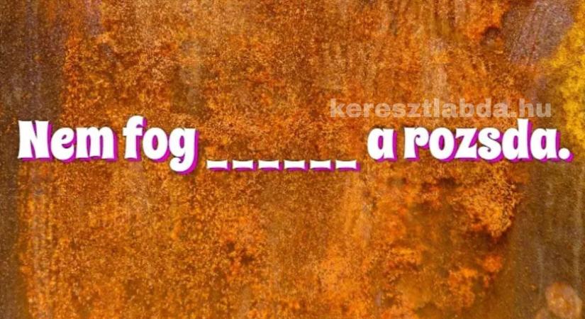 Napi közmondás feladat: A rozsdás mondat, amin a legtöbben elhasalnak!