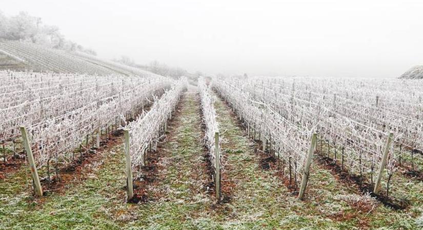 Március végi hózápor: elkerülhetetlen, de legalább előre látjuk