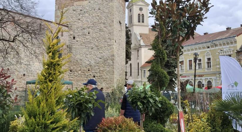 Kertészeti kiállítás és vásár Nagyenyeden