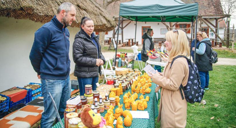 Szőlőhegyi tavaszi varázs Oszkón: életre keltek a régi fák és a közösség is