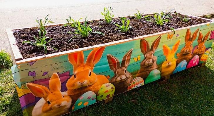 Faluszépítő Nap Vámosgyörkön 