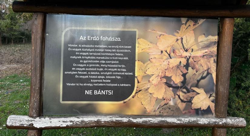 Kinyitott a város zöld kincse, irány a Baracsi úti Arborétum (videó, képgaléria)