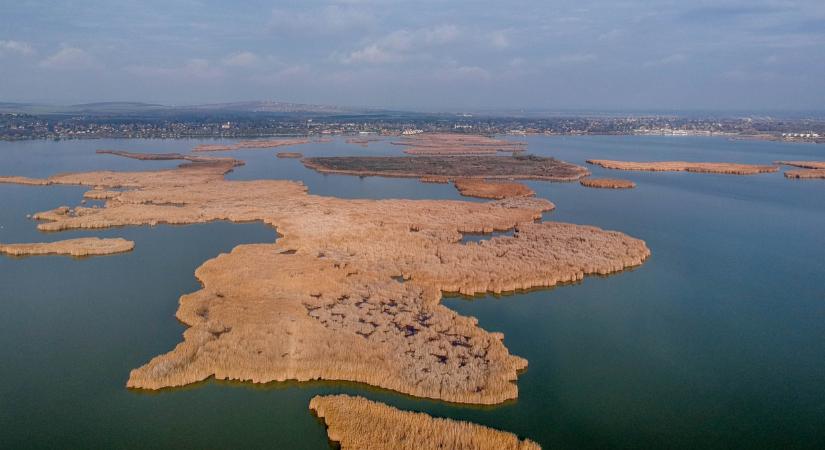 Riasztó, ami a Velencei-tónál zajlik: ilyen még soha nem volt korábban