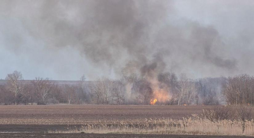 Több száz méter hosszan lángolt a nádas a hajdú-bihari főút mellett!