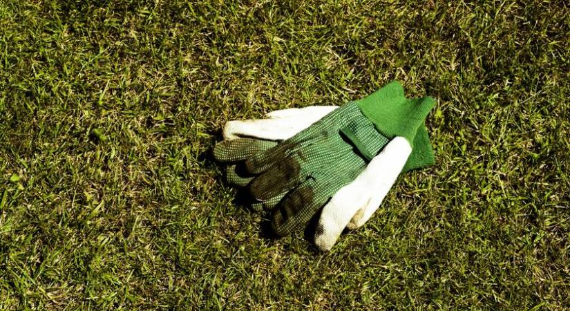 Így lesz a gyep gyönyörű a nyáron: ezt nem szabad elfelejteni most a szakértő szerint