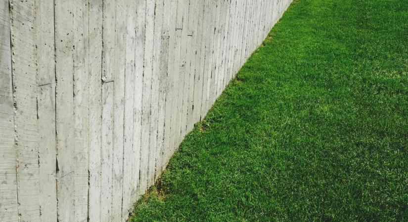 Így lesz újra dús zöld a kerted: a tavaszi gyepkarbantartás titkai