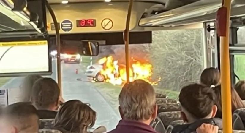 Vérfagyasztó látvány Rábahídvégnél: csak egy kettészakadt őz és egy kiégett roncs maradt a pénteki balesetből – képek