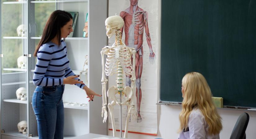 Kvíz: egy csecsemőnek több csontja van, mint egy felnőttnek. Igaz vagy hamis?