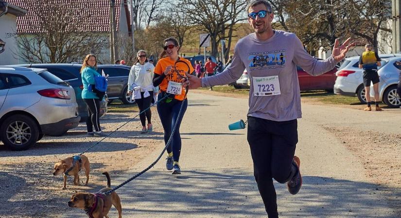 Fuss menhelyi kutyákkal a Cerbona Félmaratonon!