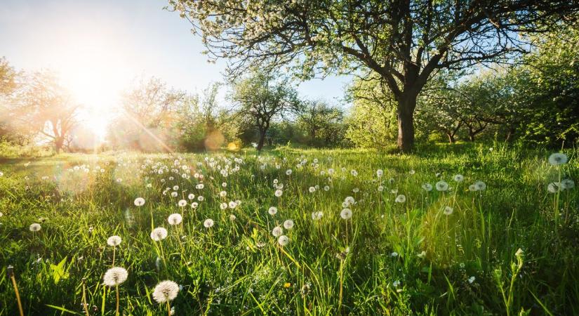 Napos kezdés, záporos folytatás – ilyen lesz a hétfő