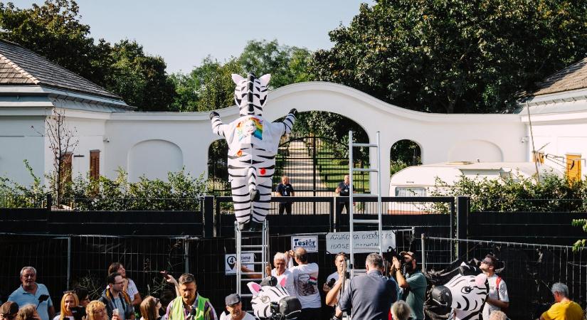 Márton László: Levélféle OV-nak