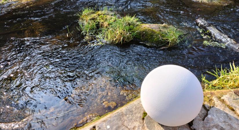 Olcsóbb és meghittebb a természeti temetés