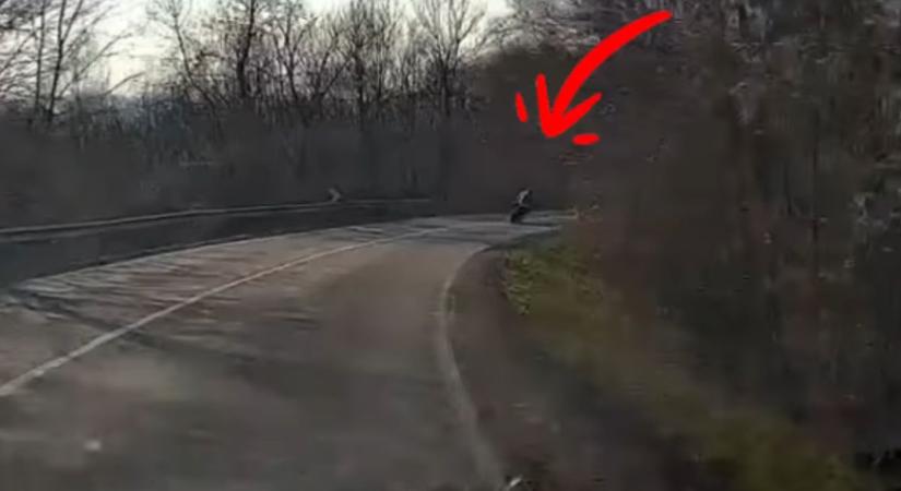 Hajszálon múlt, hogy a motoros nem az autó alatt végezte! (videó)