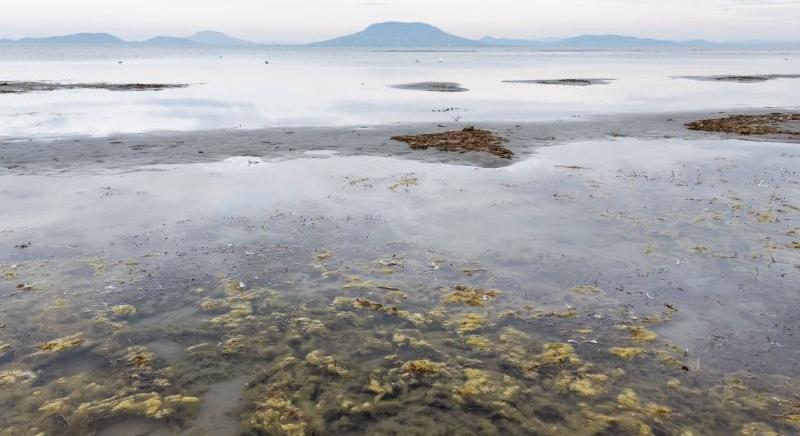 Jajj, a Balatonnak: zavaros a vize és nyárra még nagyobb lesz a baj