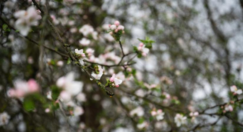 Drasztikus fordulat jön az időjárásban, a napsütést viharos szél és hó válthatja