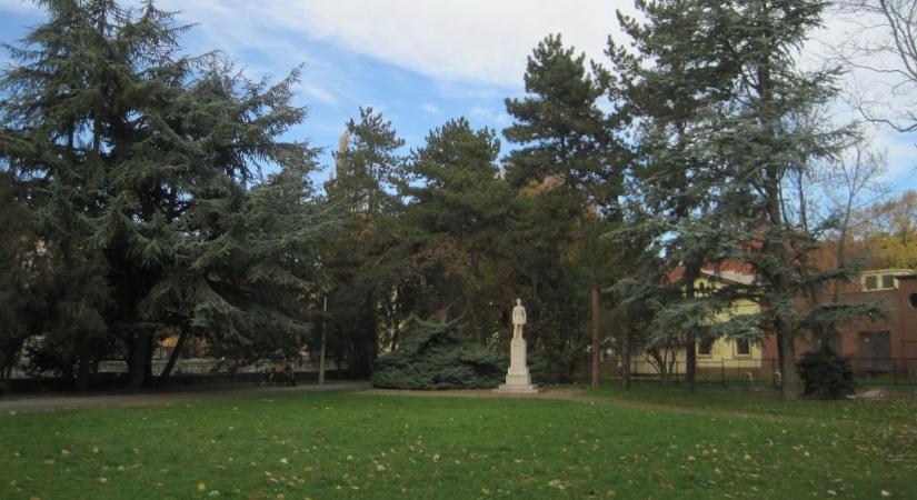 Gejzírként tört föl a víz a talajból a Petőfi téren  fotók