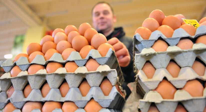 Megnéztük az árakat: ennyiért adják most húsvét előtt a tojás darabját Kecskeméten