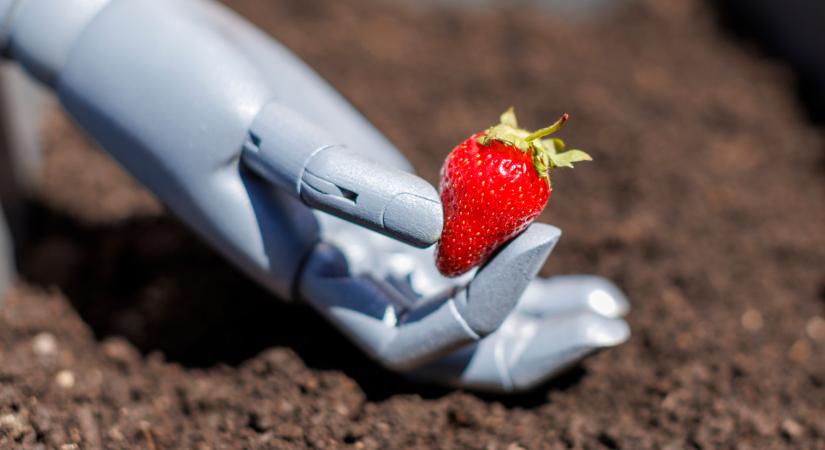 Itt az amerikaiak nagy terve: ez forradalmasíthatja az élelmiszeripart