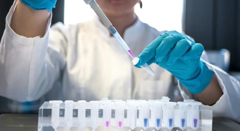 Remény az agydaganat gyógyításában: áttörő felfedezést tettek a tudósok