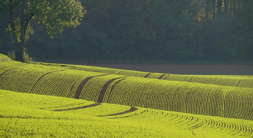 Időjárás: Siess délelőtt a kinti munkákkal, mert meglepetés érhet