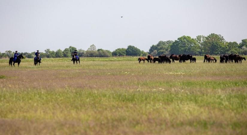 Páratlan fotók a hortobágyi pusztáról, ahogyan még nem láttad!
