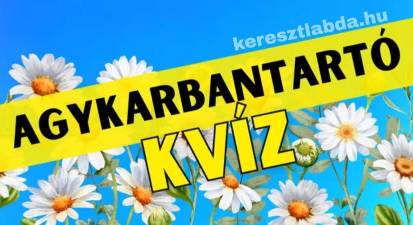 Napi agykarbantartó feladat: Sokan elbuknak a virágok levelein!