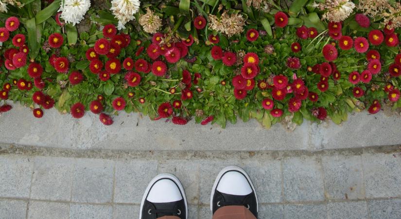 Lenyomta a tavaszi időjárás a veszélyes állatokat és a rémisztő alakokat