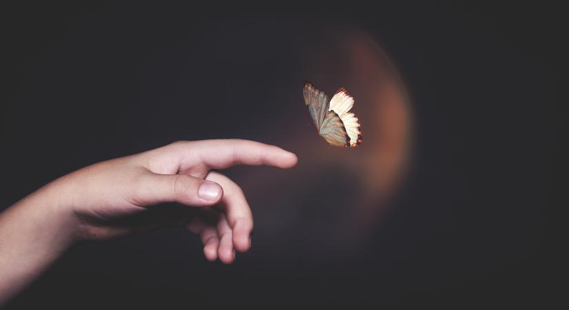 Pillangó-hatás: így írja át a világ hétköznapjait az iráni háború