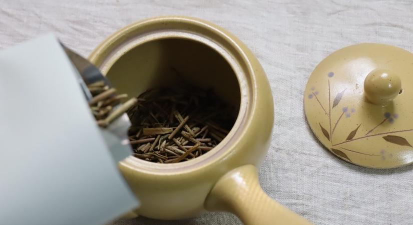 A hōjicha felemelkedése