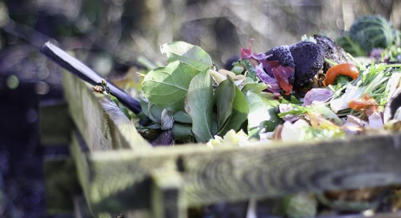 Meglepő, mennyi tápanyag van a komposztban
