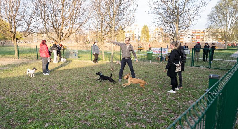Kutyafuttatót adtak át Szabadhegyen