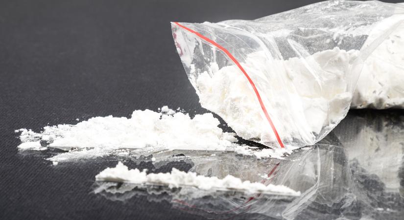 Több mint háromezer kilogramm kokaint foglalt le a rendőrség Hollandiában