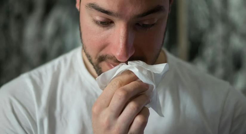 Kevesen tudják, de ez az étrend segíthet szénanátha ellen