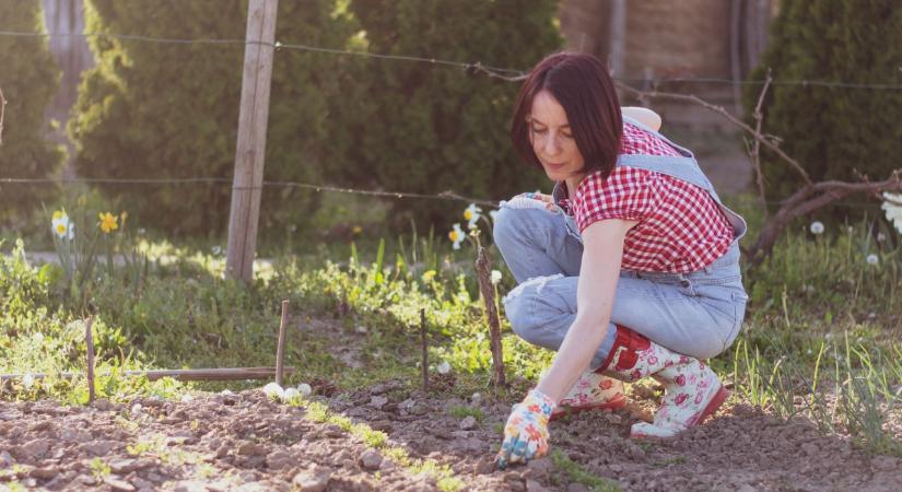 5 gyakori hiba, amit tavasszal szinte minden kerttulajdonos elkövet – A növények bánják