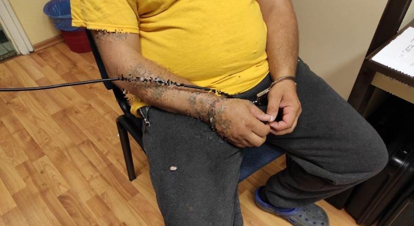 Hamarabb szabadulhat a diósjenői gyilkos, aki megölte és elásta élettársa két lányát