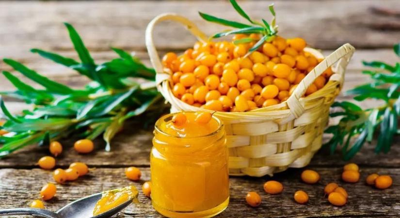 Homoktövis A-tól Z-ig – szakmai nap és kóstoló Rákóczifalván