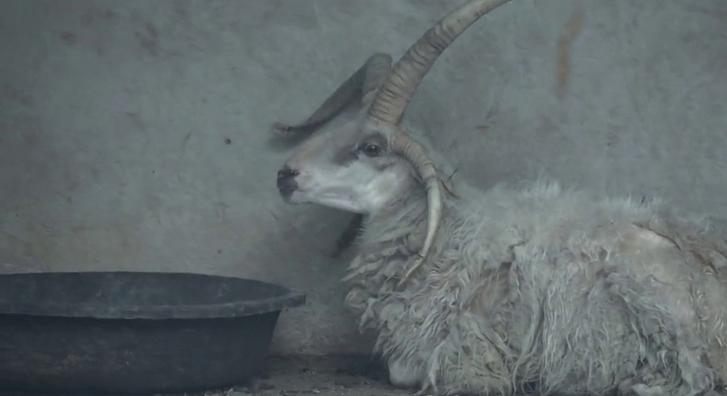 Rejtélyes jelenség tartja lázban a netet Kínában, sokan baljós jelnek vélik az esetet