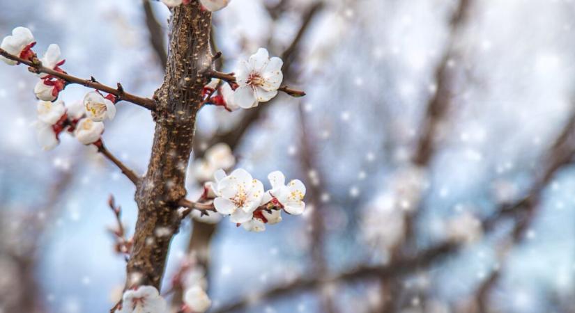 Már csak ez hiányzott – még hózápor is jöhet a jövő héten