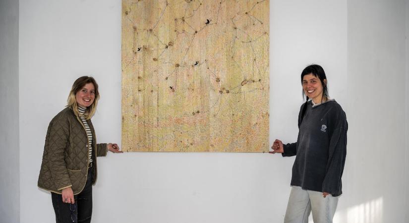 A bárányok nyugtatnak: megihlette a művészt a finn sziget, ahol bárki meditálhat pásztorként